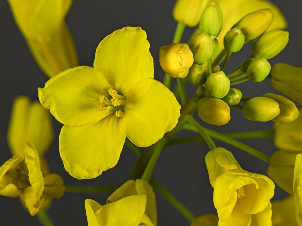 ��������� ����� ������������ �� ������� � ����� ��������������� �������������