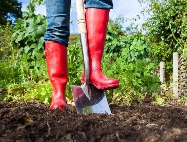 Как дачникам сэкономить на сезонных расходах