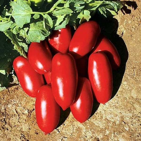 ����� ����� F1: ������������� ������ ��� ����������� ������ � ������� ���������