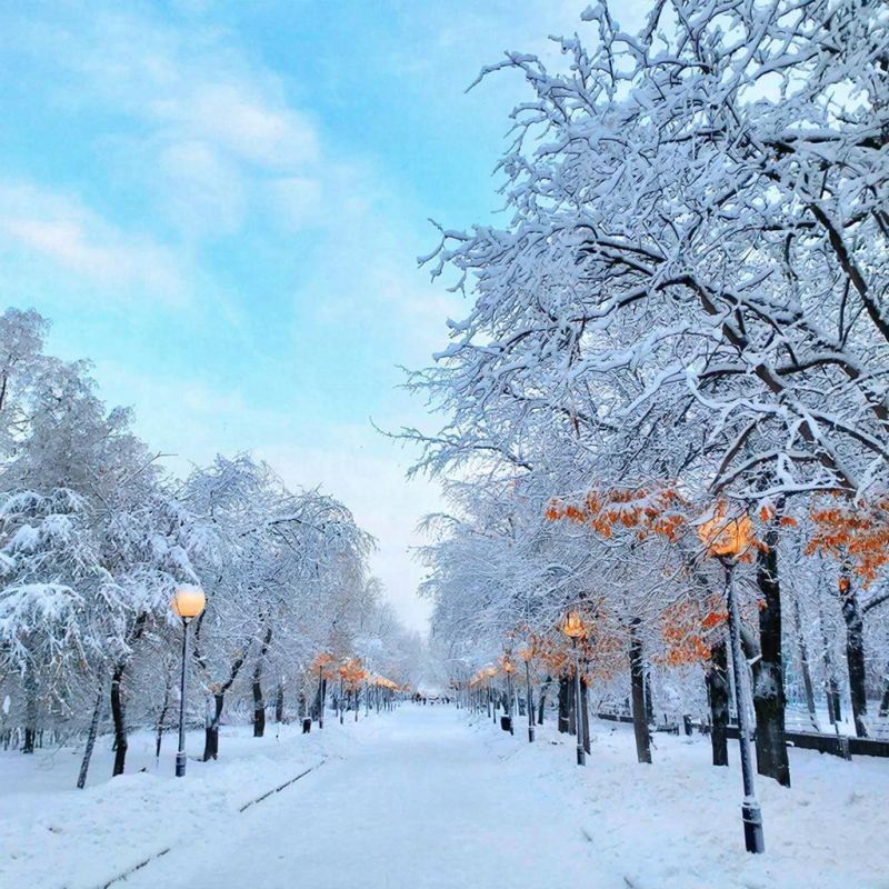 Утверждена судебная защита имущественных прав на цифровую валюту и её ограничения