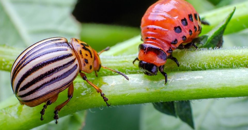 �������� ����� ��� ��������� ������� ������ ������������ ���� � �������