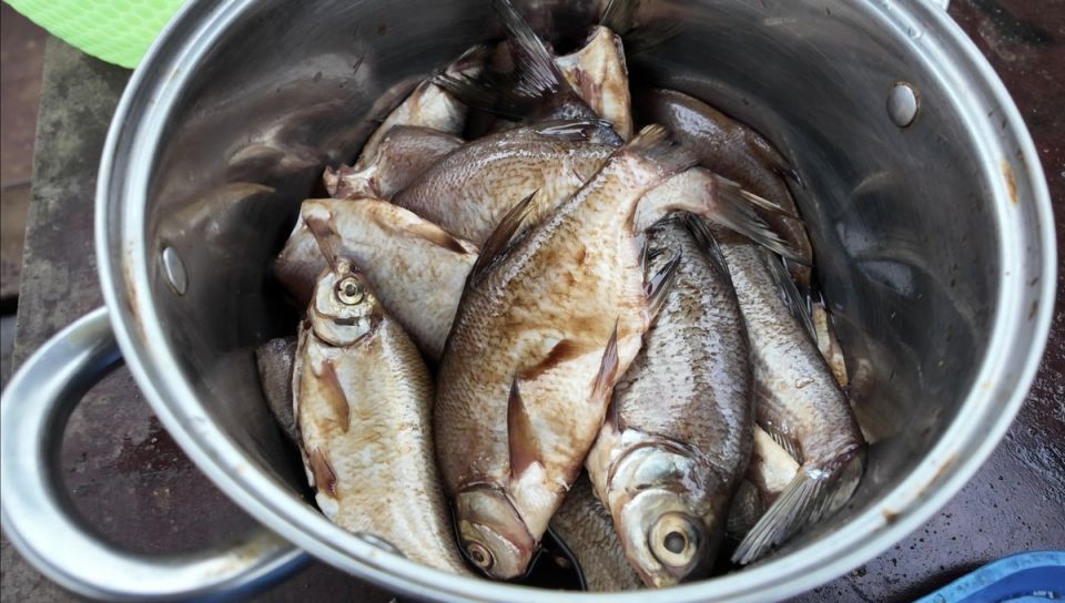 Речная рыба во фритюре: тихий выходной с уловом и вкусной заготовкой