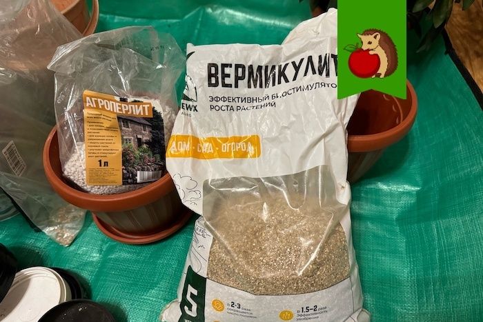 Перлит или вермикулит: что выбрать для рассады и комнатных растений?