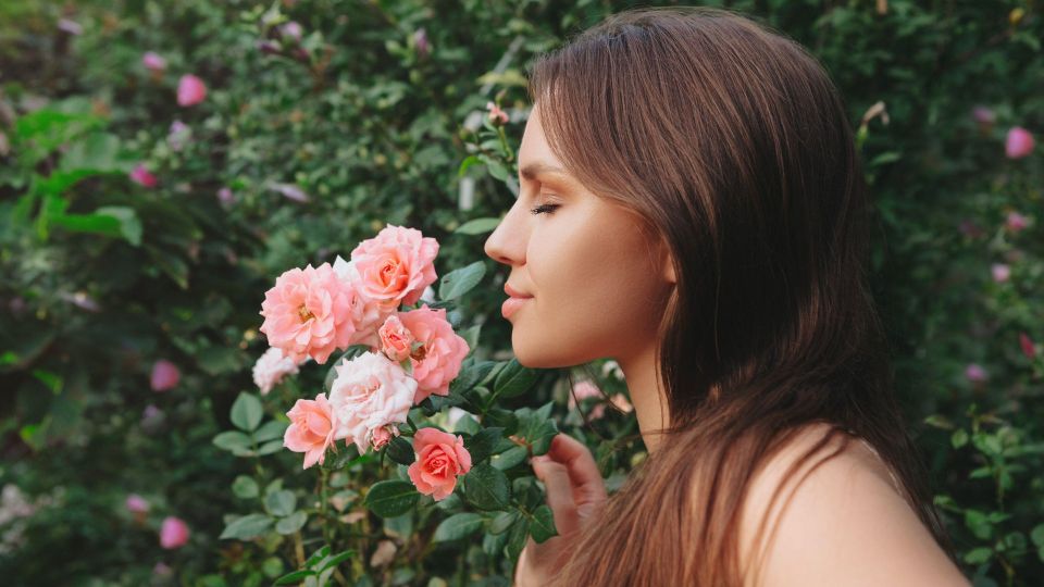 �������� ��� �������� ����� ���: ��� �������� �� ������ �������