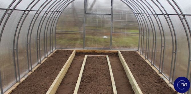 ����� � ����� ����������� ������� � ���������� ������ ��� ���������� � ��������