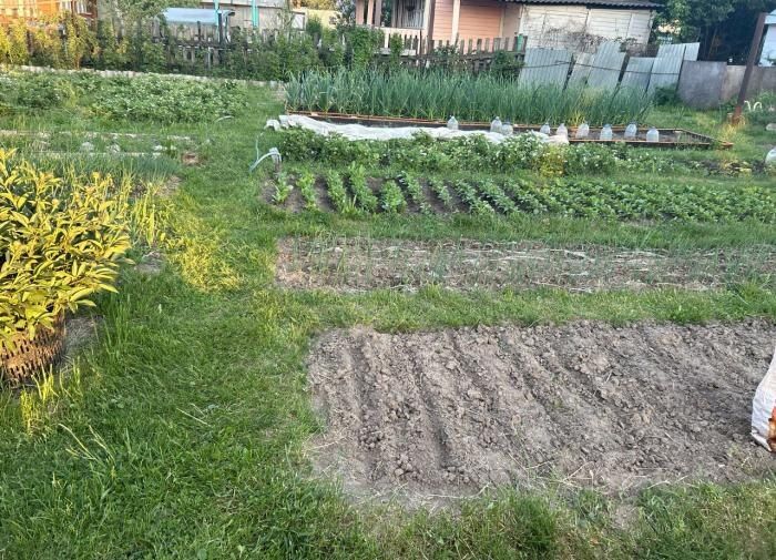 ������������ ����� ������ ��������: ��� ������� �������� �������� ��������