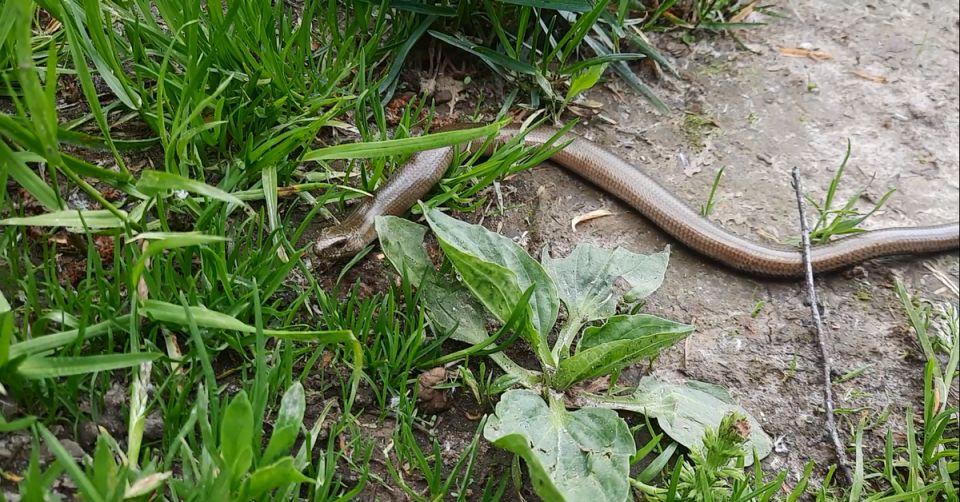 ����������: ���������� ����� � ������ ���������