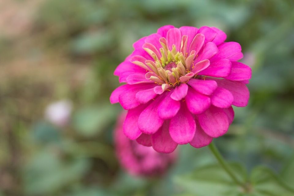 ������� ��������� ����� ����� ������