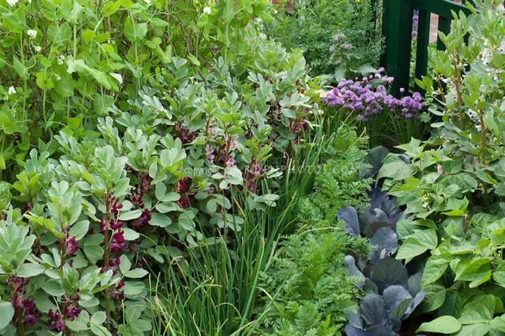 ����� ���� ��� ����������� ����: ��� ���������� ������ �� ��������� �������