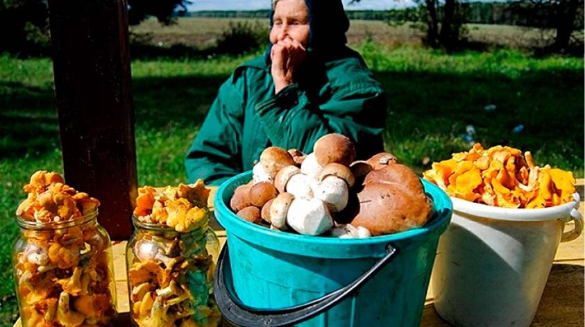 ������ ����� �������� ������� ������ � ���: ���������� �������