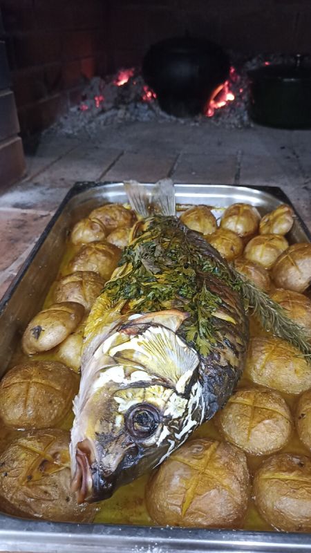 ���������� �����: ������� ������������� � ������� ����