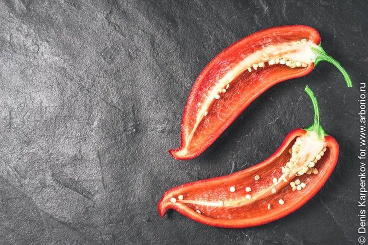 ��� ���������������� ������� ����� ������ � ������ � ���������