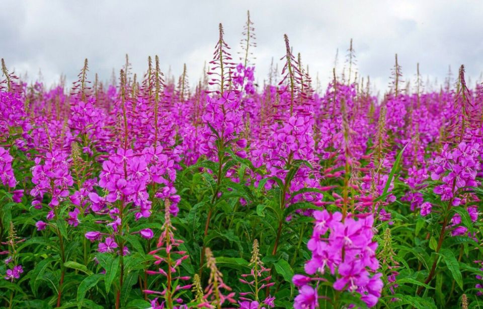 �������: ������ ��� �������, ������� ����������� ������������