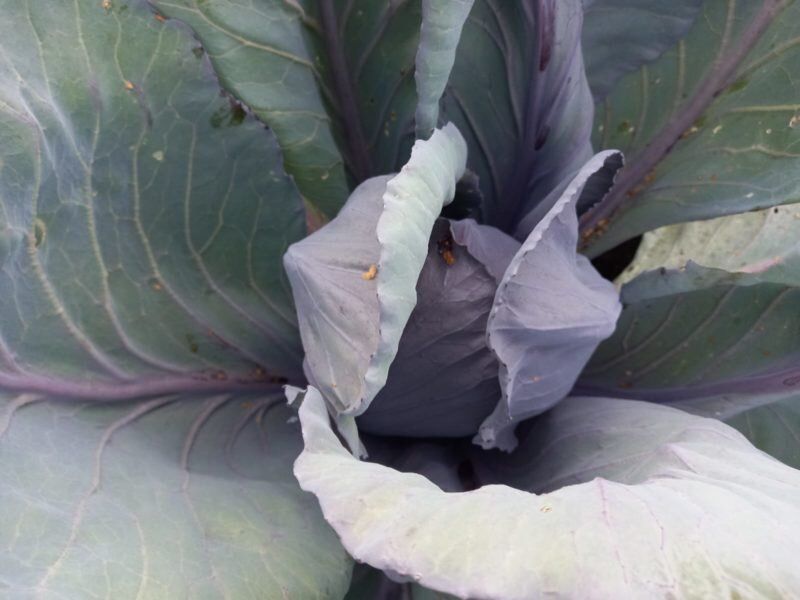 ������� �������: ������� ��������� ����������� �� ����� �������