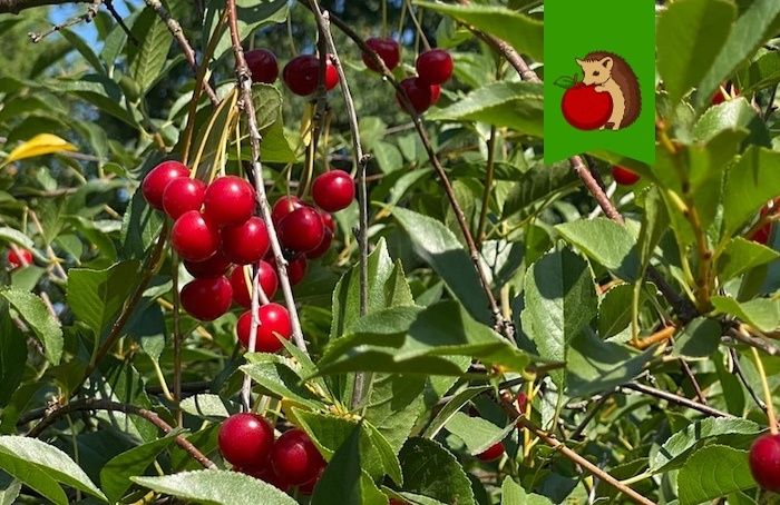 ��������� � ����: ���� �������, ������� ����� ��������� �����