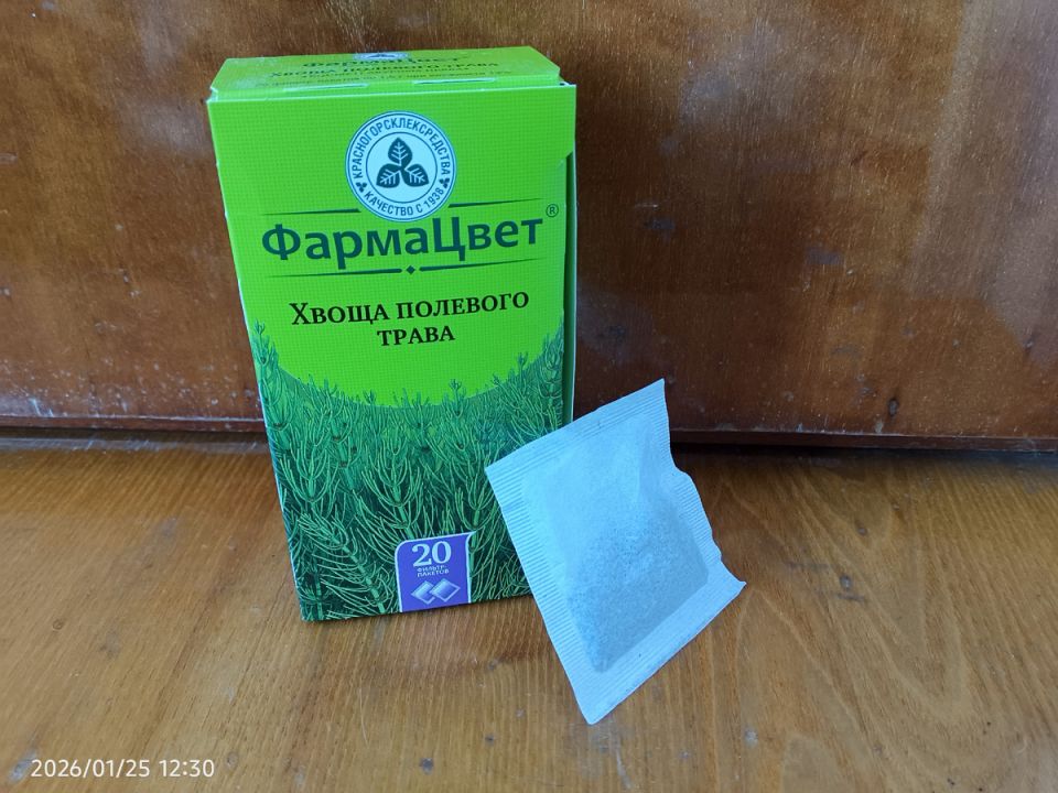 Как натуральные методы помогают укрепить рассаду