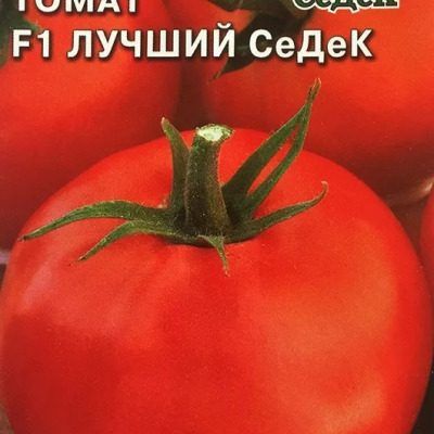 ����� ������ �����: ���������� ���� � �������� ������� � ��������