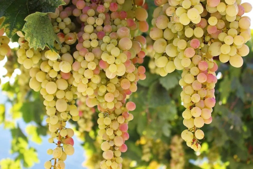 ������������ ����� ���������, ������� ��������� ������ �� -40�C