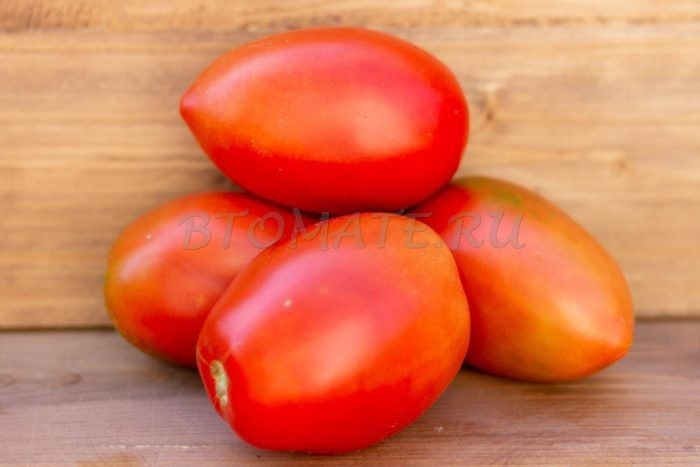 ����� ������: ��� ��������� ������������� ������ ������ �������