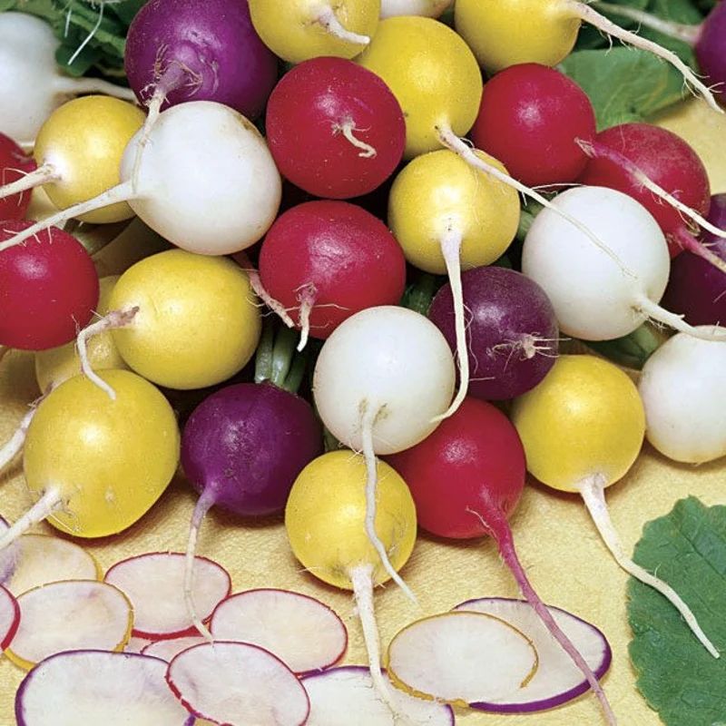 Новый редис: сорта, которые не стреляет в стрелку