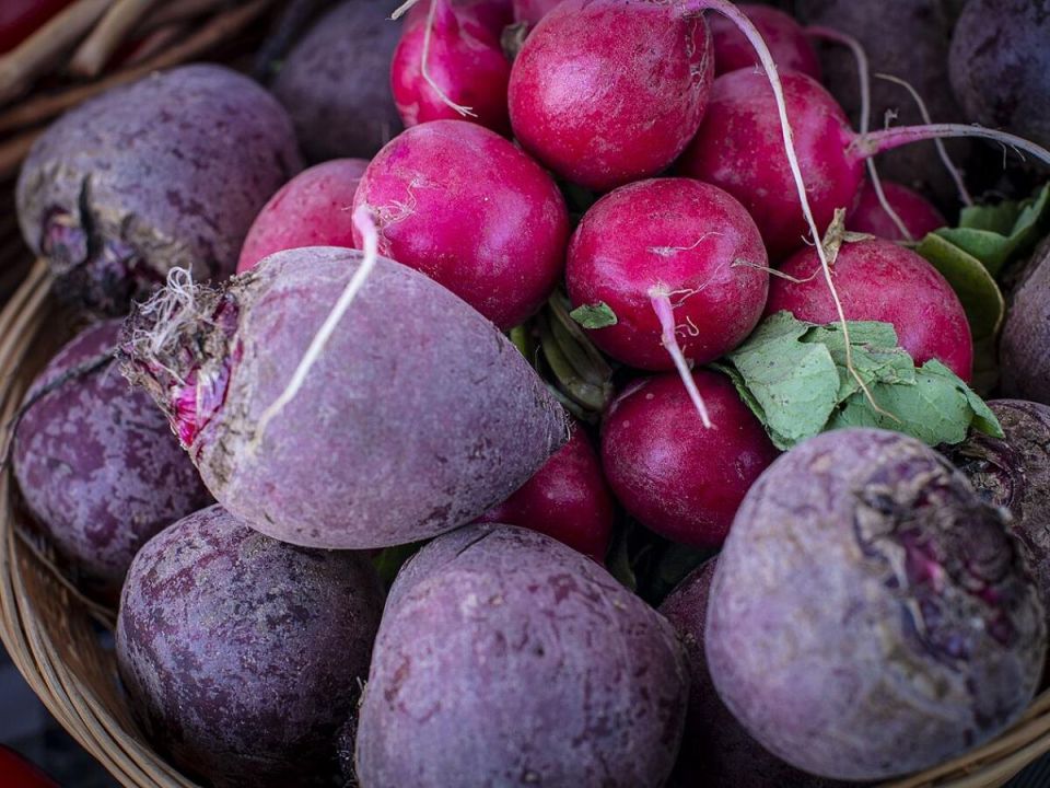 ������� ������: ��� ��������� ��������� ������