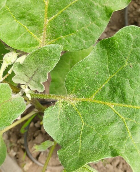 ��� ���������� � �������� ���������� ����� �� ����� ���������