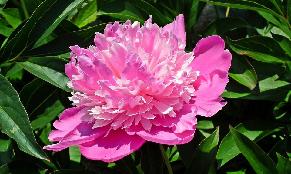 ������� �� �����: ���������� ������