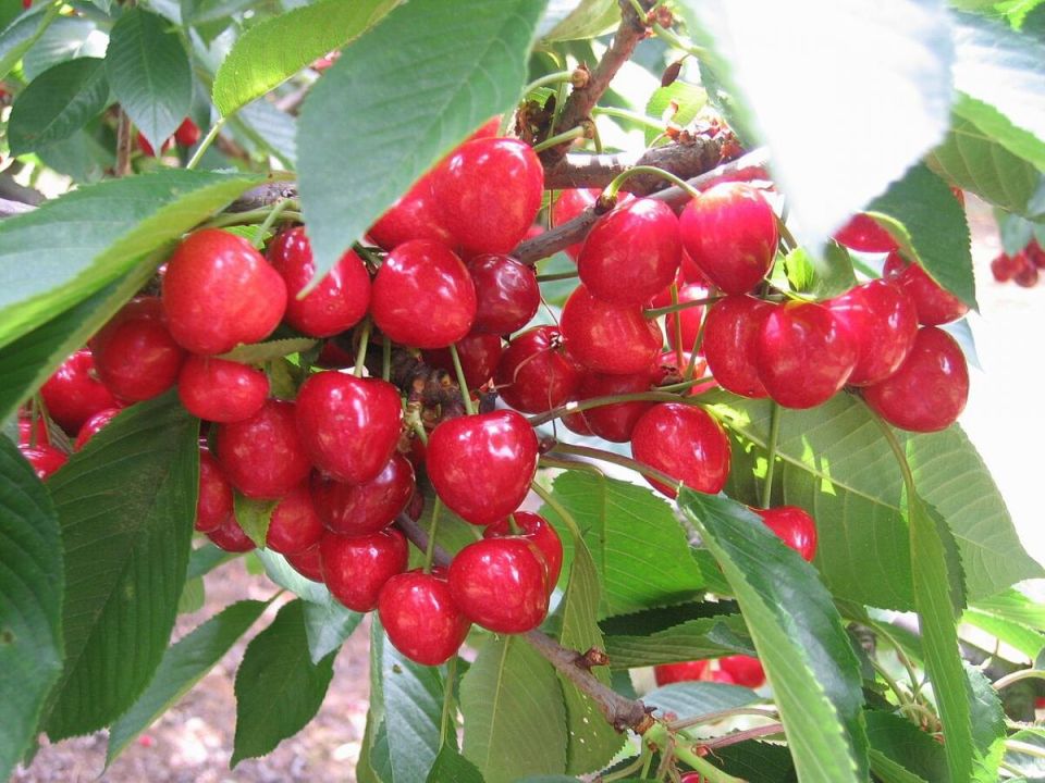 ��� ��������� �������� ����� � ������� ������ ��� �������� ������