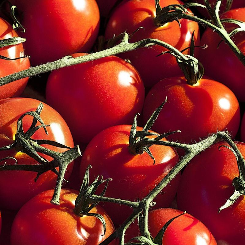 Томатный бум: 6 гибридов, которые стоит попробовать