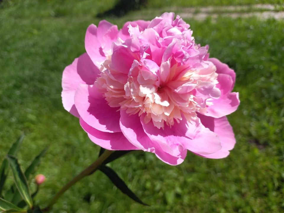 ��� �������� ����� ������: ������� ��������� ����� ����� ��������