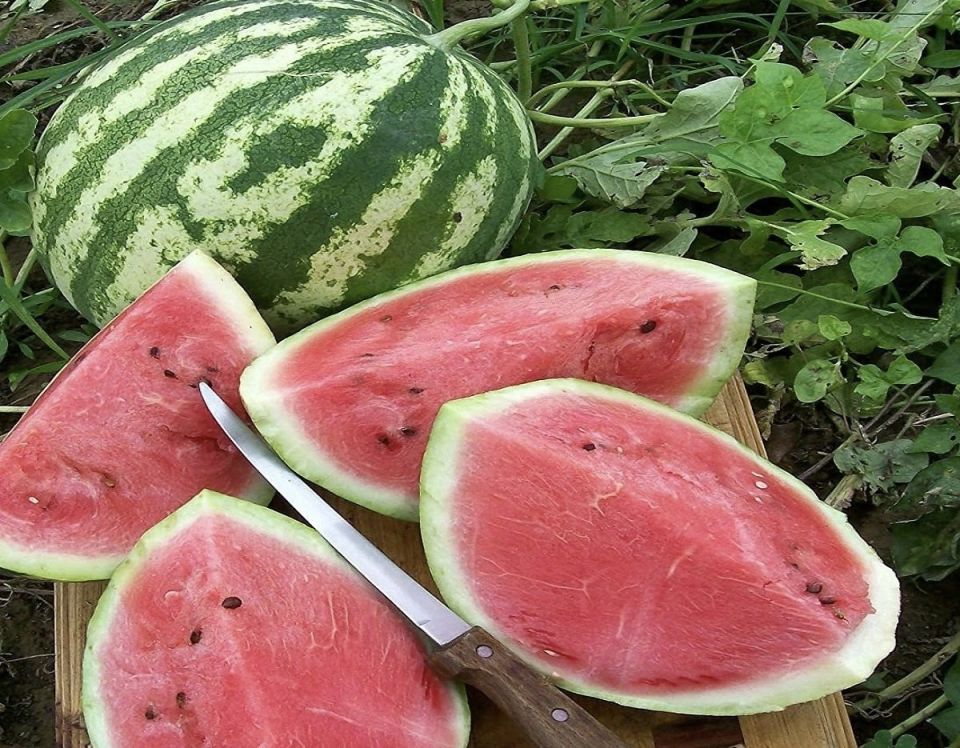 ��� ������� ��������� �����: ������� ������ � �������