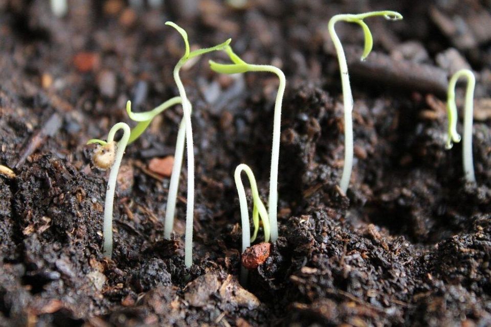 �������� � ��������: ��� ��������� ������� � �������� �������������