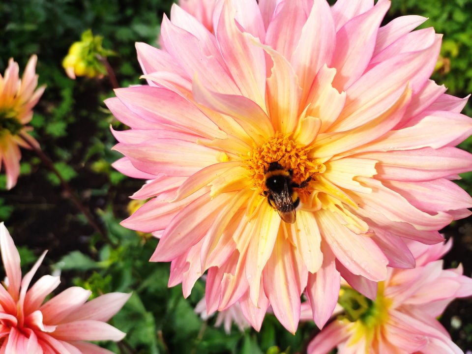 ��� ���������� ��������� �������� ��������� � ������� ������� ���������