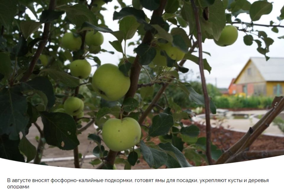 ��� ����������� ���� ��� � �����: ������ �� ����� �� ��������� ���������� � �������