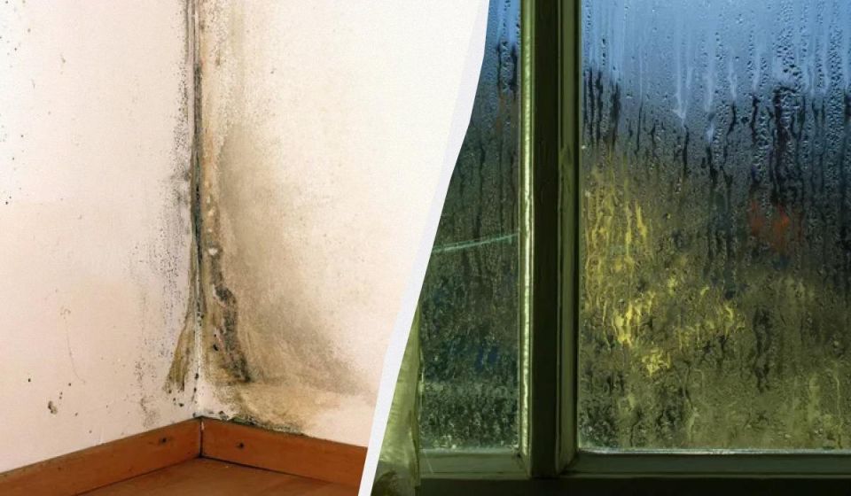 Как навсегда избавиться от сырости и конденсата в квартире