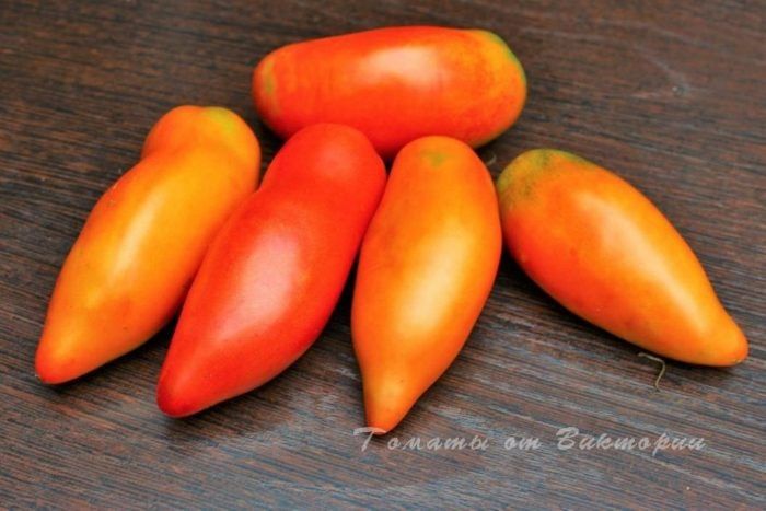 ����� �������� ������: ���������� ����, ������� �������� ������ ���������