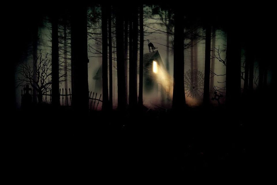 ������ ������ ������ ���������� ���: �������� ������� � �� �����������