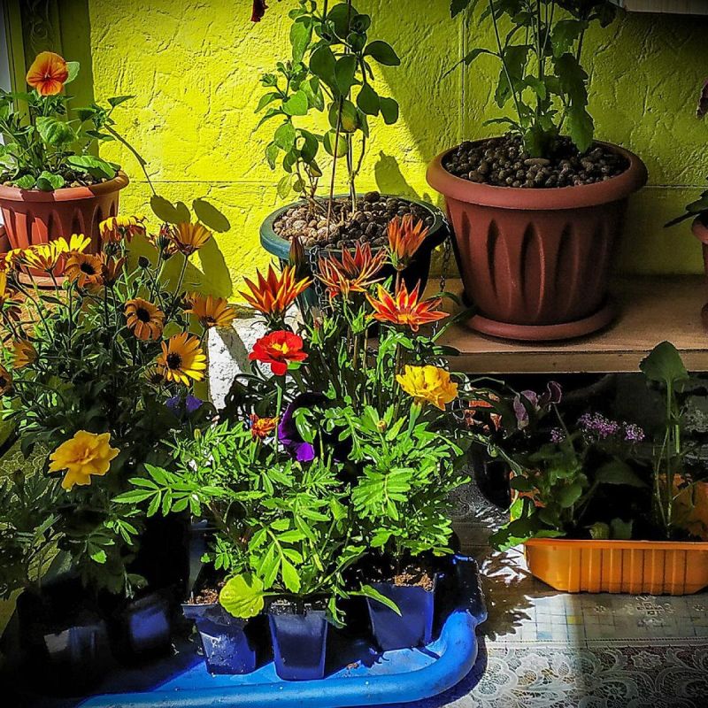 ��� ��������� ������������ ������ � ����� ���� � ������� ���� ��������