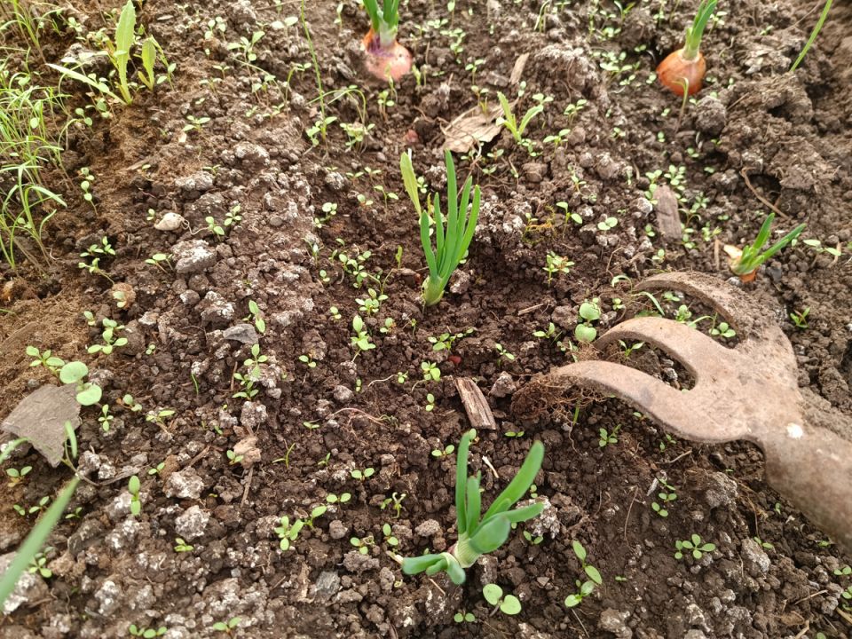 ��� ������������ ������ ����� ����� �� ��� ����, �� �������� � ������