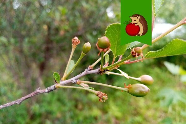 ��� ��������� ������ �����: ������� ������ �� �����