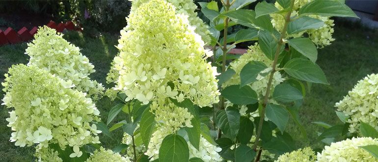 ����� �������� ��������� � ��� �������� � �����