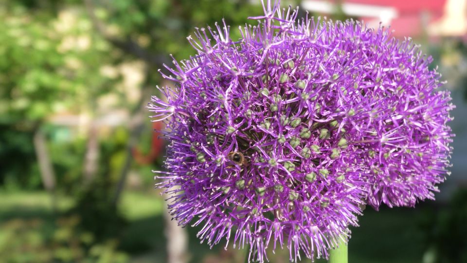 ��� �����: ������� ����� � ���������� � ����