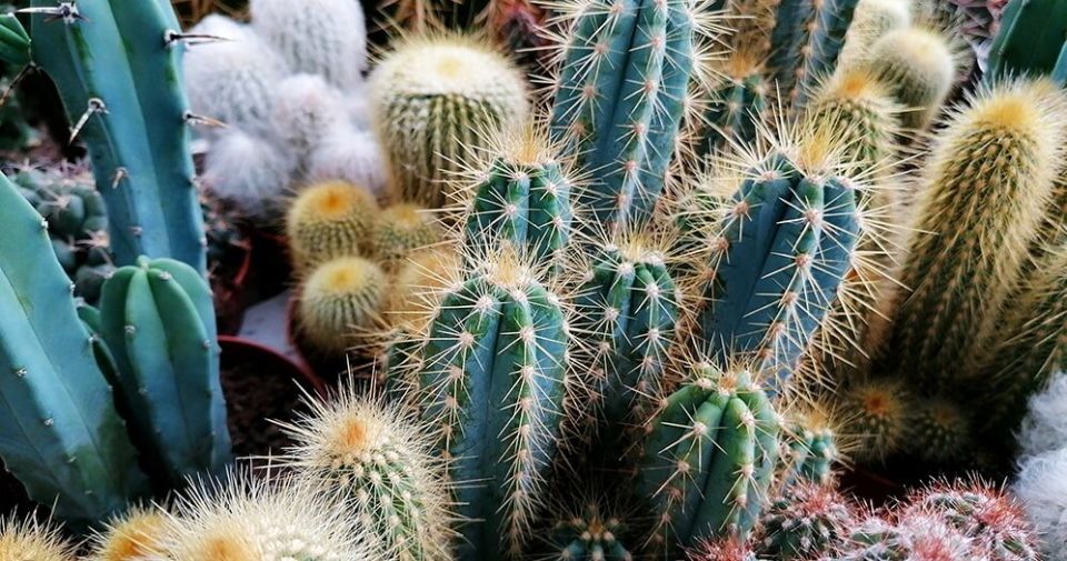 ��� ������� ������� ��� ����: �������� ������ � ���������� ����