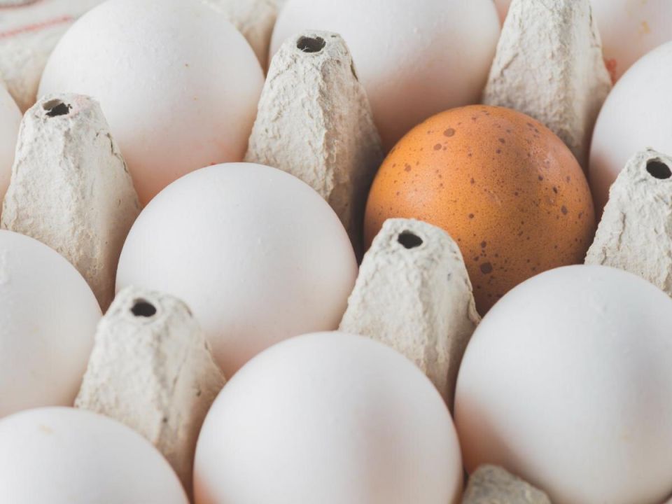 �� ������� ����������� ��������� �������: ��� ��� ����� ����������� ��� ���