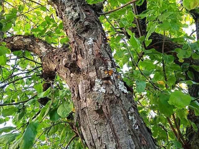 ����������� ������ ������ � ����� � ����������� �� �������