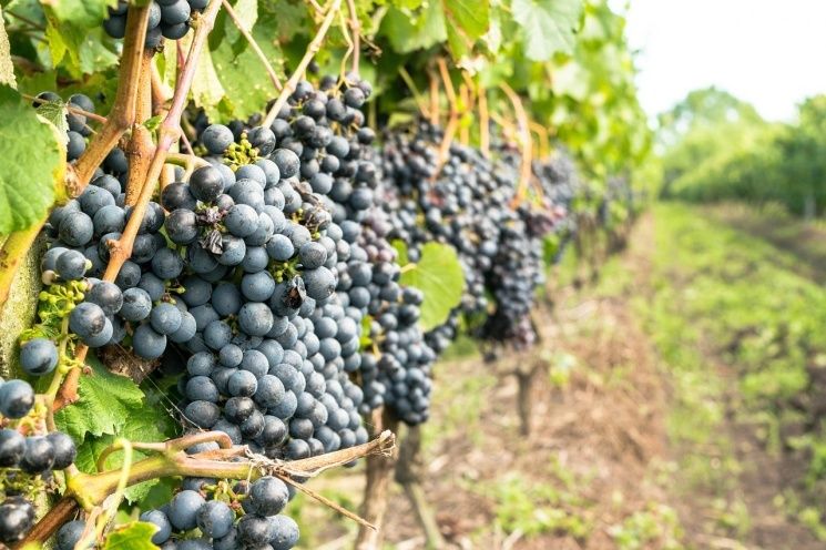 ��������� ��������������: ���������� ���������� ��������� �� 2026 ���