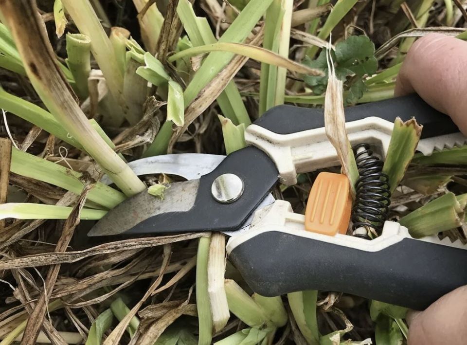 ��� ��������� �������� ������������ � �������: ��� ����� �����